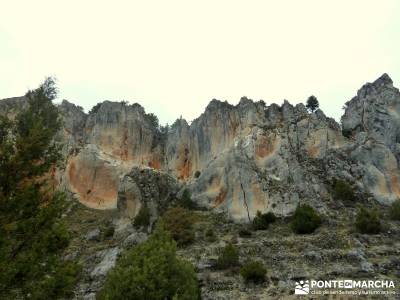 La Fuentona y el Sabinar de Calatañazor; senderismo rutas;grandes rutas senderismo